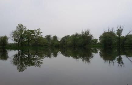 Havelhof-Nitzow - Foto 30