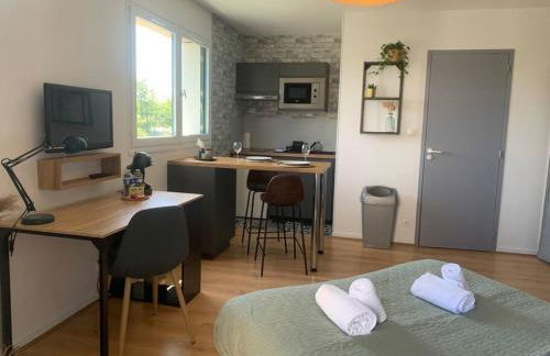 Le Wild, Superbe studio au bord de la vilaine - Foto 9