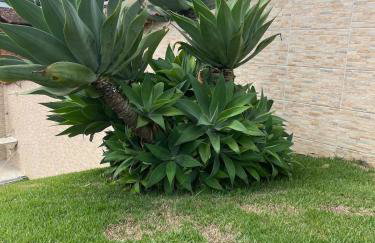 Casa Dedeia Fest JF Marilândia - Foto 59