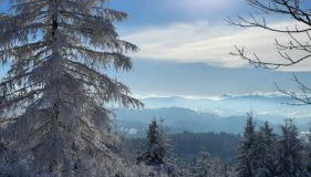 Amelie's House - Foto 3