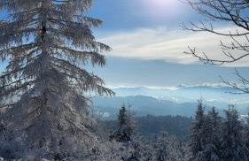 Amelie's House - Foto 3