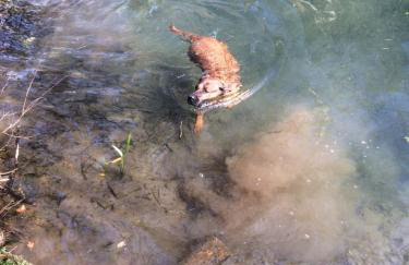 Ortmanns Eulennest - Foto 37