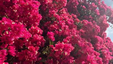 Ocean View Tenerife South Coast - Foto 2