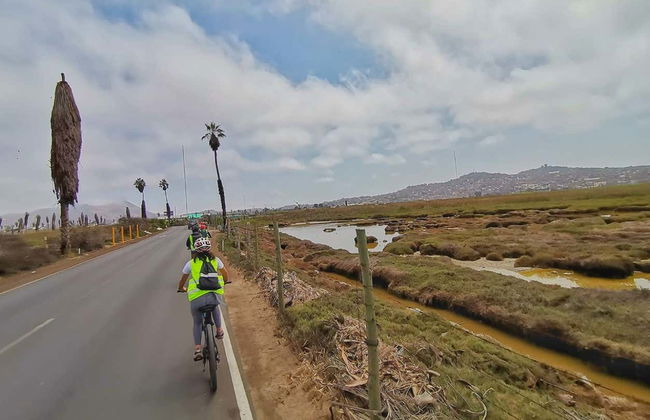 Balade à vélo à travers Miraflores et Barranco + Visite de Los Pantanos de Villa - Photo 6