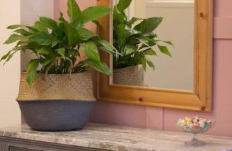 Cute Studio with kitchen, patio and free parking - Foto 13