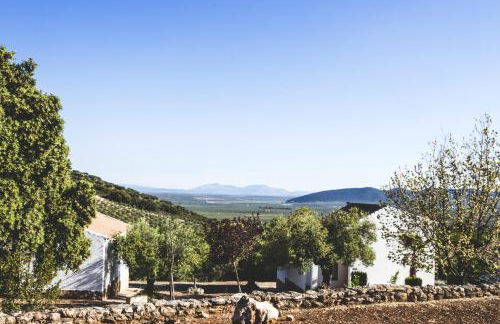 Charming house in Estepa with shared pool. - Photo 24