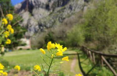 Casa Gina, espectacular alojamiento en plena naturaleza! - Foto 27