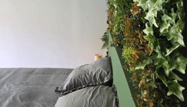 Jacuzzi & Jardin privé - Suite Tropicale - Foto 5