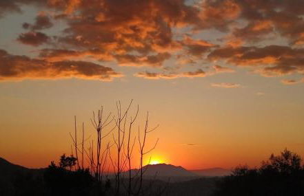 Agriturismo La Terrazza su Farfa - Foto 51