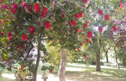 Agriturismo Pettinari - Foto 44