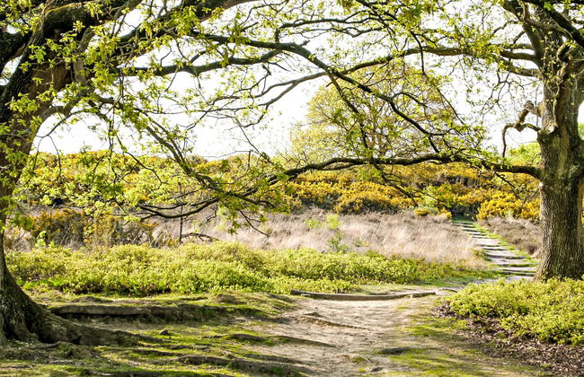 2 bedroom House in Lochem with garden and terrace - Photo 20