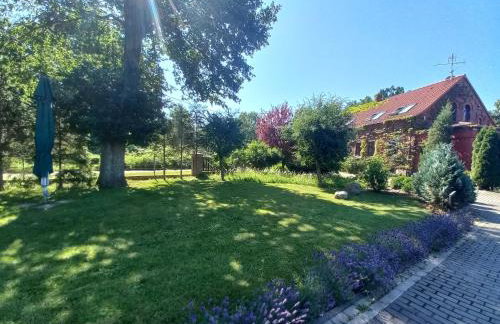 Avalon Połchowo - Foto 22