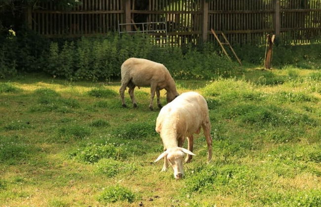 Charming Apartment in Himmelkron - Foto 23