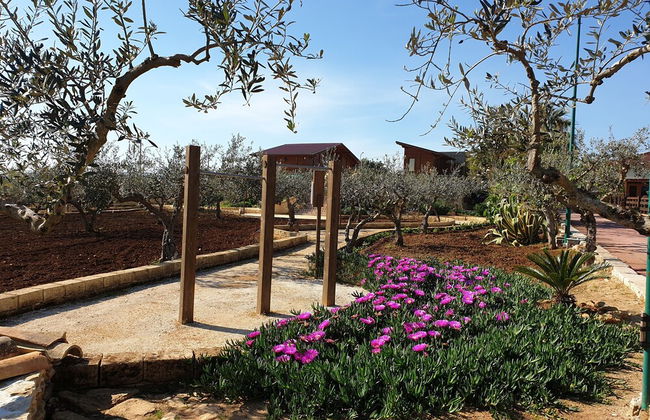 Agriturismo Duca Di San Martino - Photo 42