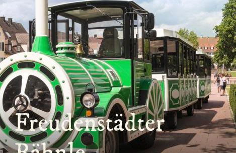 Ferienwohnung Schwarzwald Tannenzäpfle - Foto 67