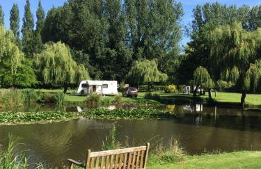 Everglades - Foto 55