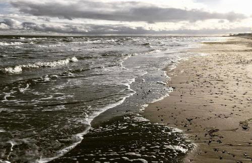 Reetdachkaten in Schuby, Ostsee - Foto 22
