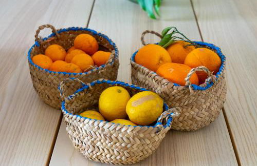 Casa Vitória - Foto 12