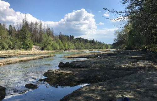 Les 4 gites de la Saisse - Foto 30