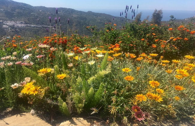 Spacious Villa with Hot Tub in Arenas - Photo 20