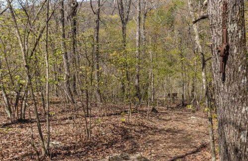 Baca Cabin Near Compton, Ponca, Buffalo River, Trails - Foto 13