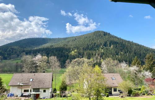 Black Forest Scenic Escape - Photo 13