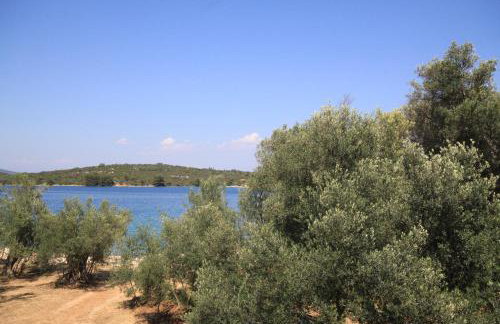 Apartments by the sea Luka - Dugi otok - 8151 - Photo 33