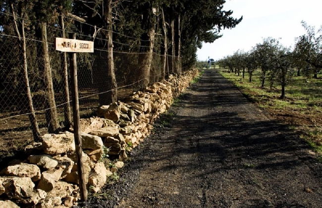 Agriturismo Carbona - Foto 24