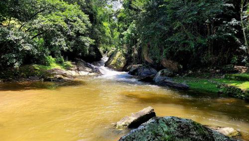 Fazendinha Paraíso - Foto 3