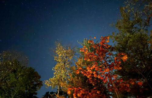 Hidden Haven - Foto 50