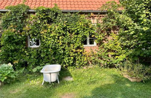 Mecklenbü mit Teich, Kamin, Sauna und Hotpott - Foto 25