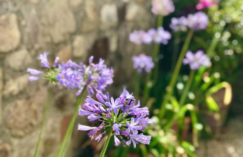 Finca Meerlust - Las Ballenas - Foto 14