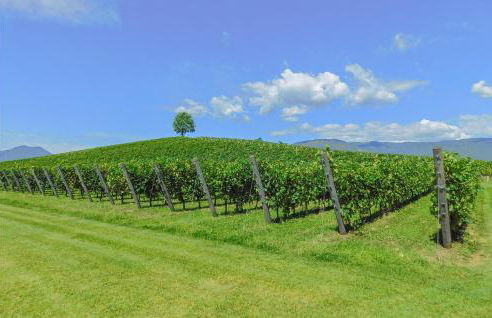 L'isola Che Non C'è - Foto 7