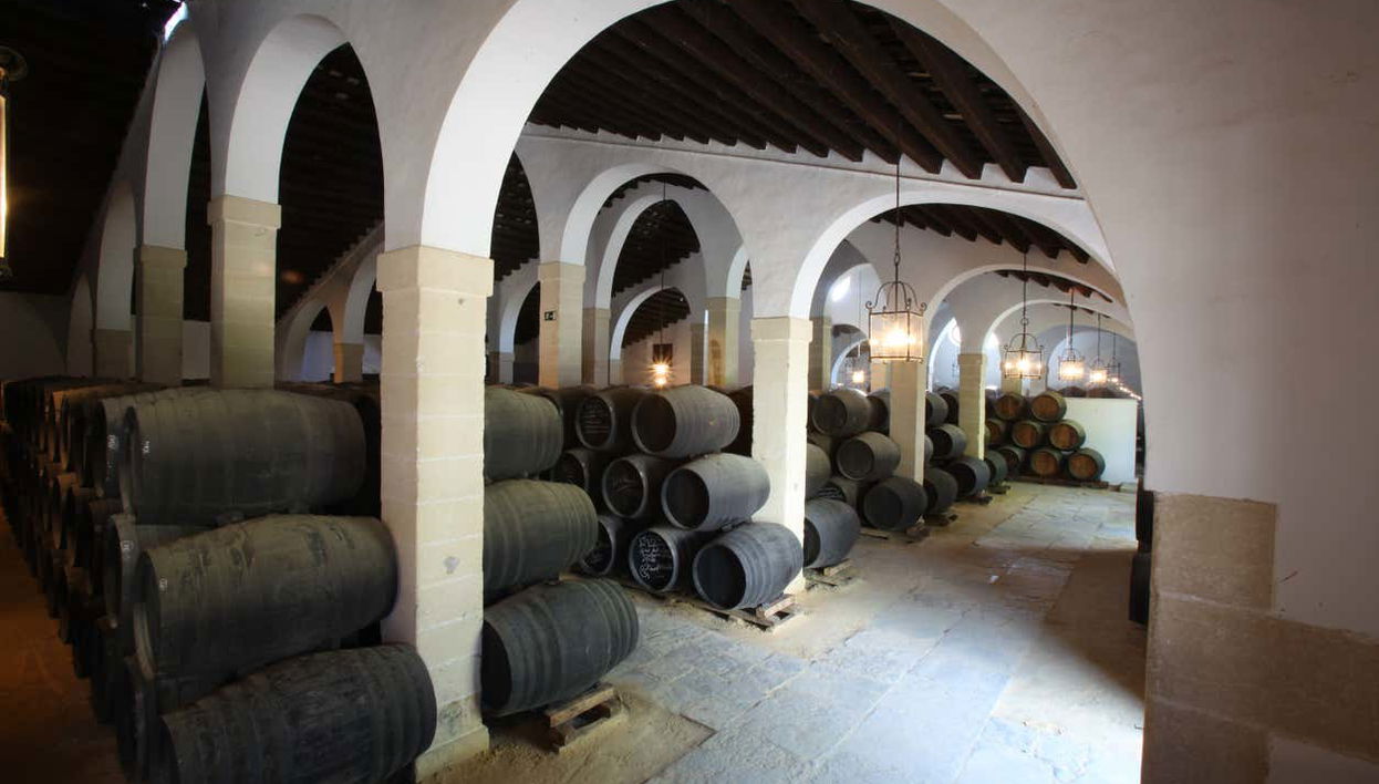 Visitando à adega Tio Pepe