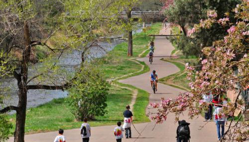 The Cozy nest - Foto 5