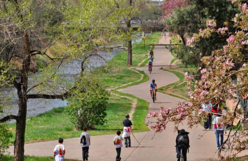 The Cozy nest - Foto 5