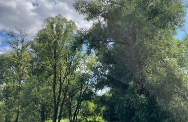 APARTAMENT CENTRUM - Foto 26