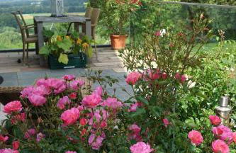 Panorama-Domizil Tauchershof - Foto 27