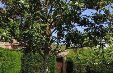 Apto. La Magnolia cerca de Comillas y playas - Foto 4