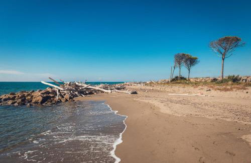 Villa Podere 109 - BioWine - Foto 60