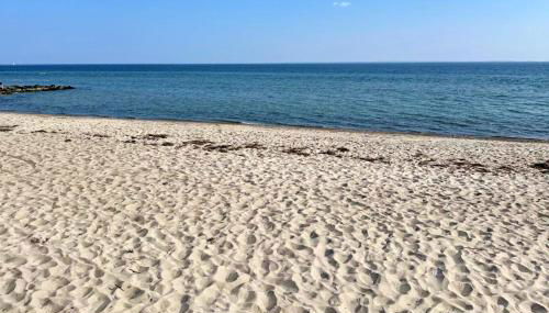 Morgenlicht - Foto 4