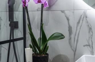 Sada's House - Foto 7