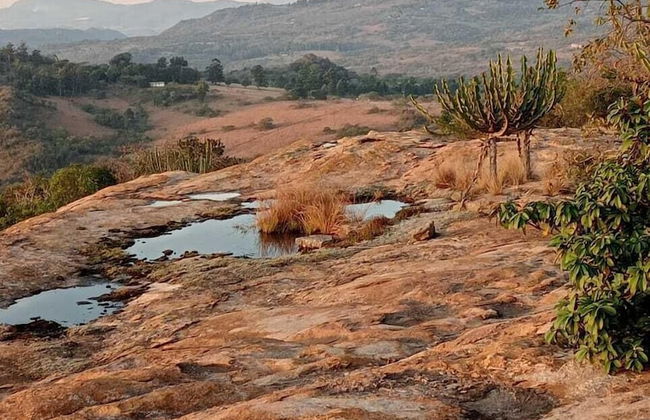 AtNature Luxury Self Catering Cottages - Photo 59