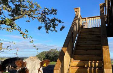 West Coast Whistlestop - Foto 16