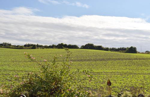 Dothan Farm Cottage - Foto 15