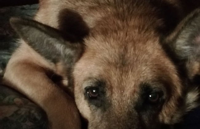 B&B Ciliegio Felice - Foto 25