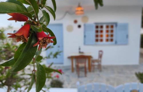 Olive Grove Soulis Family Estate - Foto 33