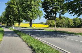 LandOase Buchhorst - Photo 28