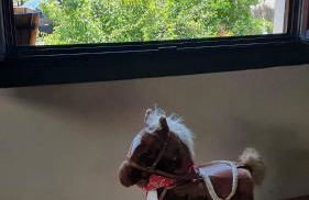 Casa Marieta Escarrilla - Foto 36