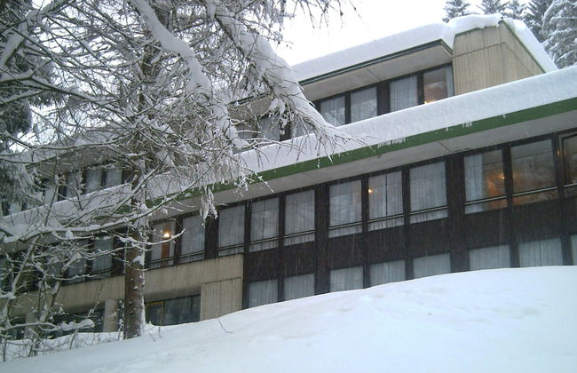 Residence Marilleva 900 - Foto 43